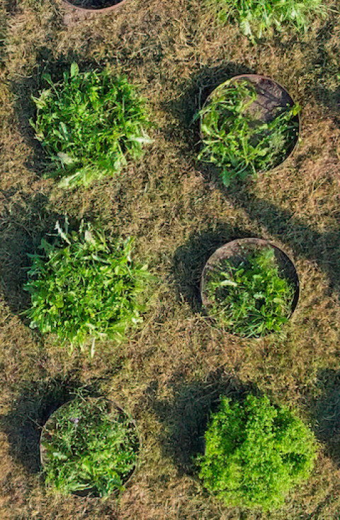 Soil ecotron as seen from the sky